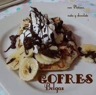   GOFRES Belgas