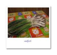   Calçots i salsa romesco