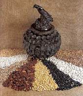   FRIJOLITOS BAYOS GUISADOS (*)